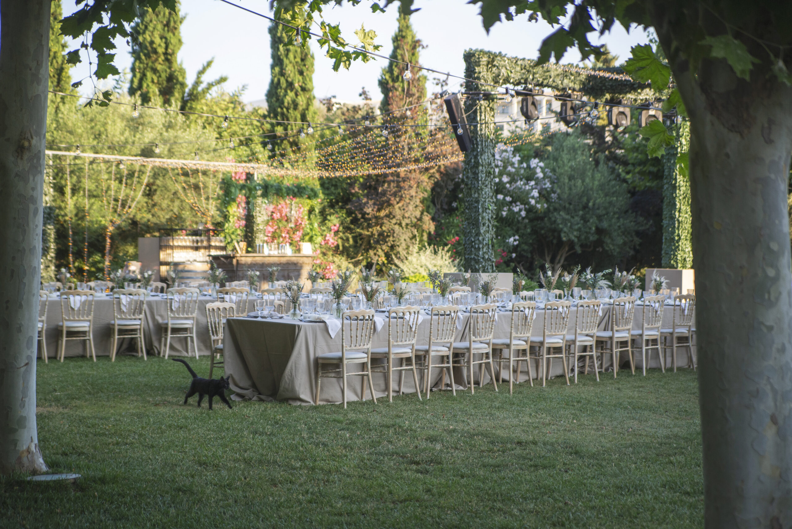 a-step-back-in-time-wedding-table-setting-pyrgos-petreza